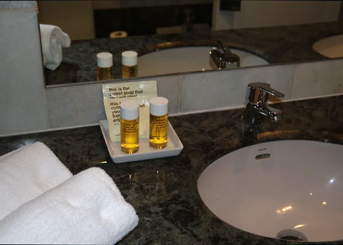 天鹅绒时尚基础酒店 3*