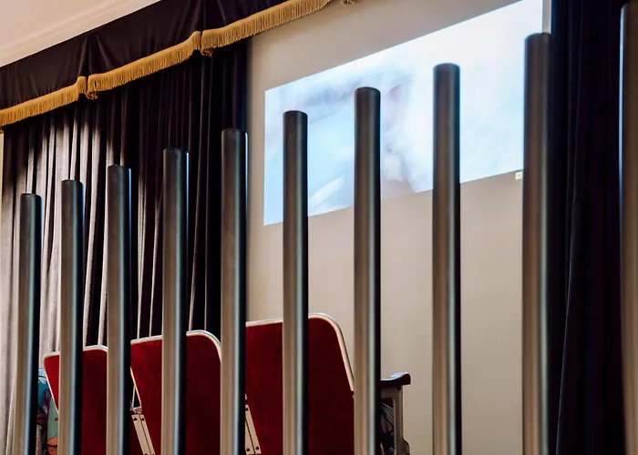 酒店 天鹅绒时尚基础酒店