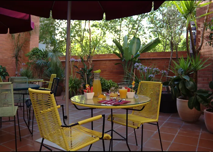 酒店 天鹅绒时尚基础酒店 巴塞罗那