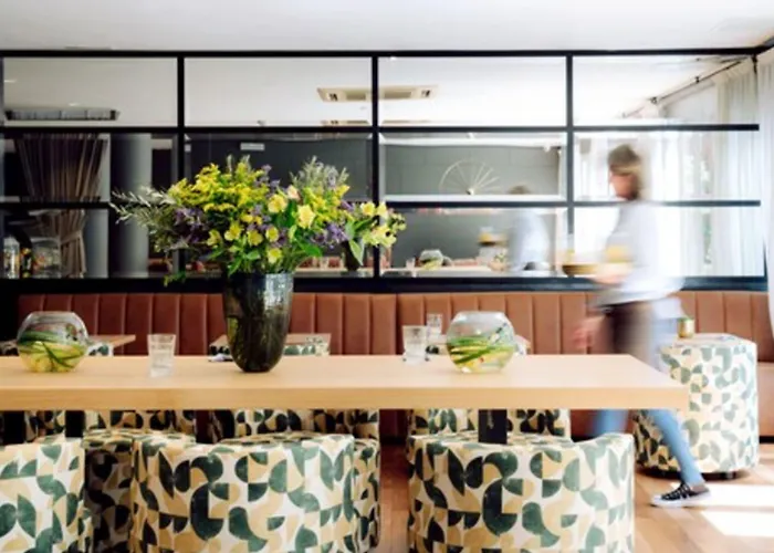 天鹅绒时尚基础酒店 3*