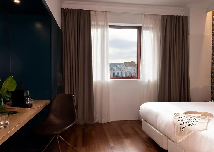 酒店 天鹅绒时尚基础酒店