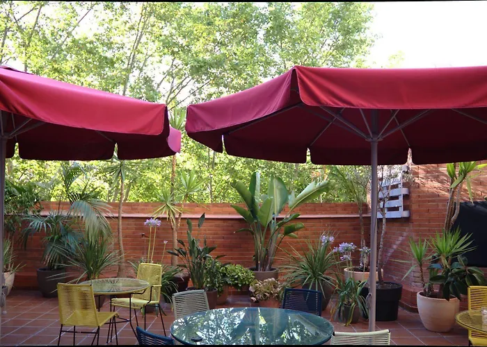 天鹅绒时尚基础酒店