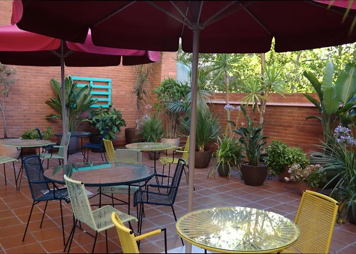 天鹅绒时尚基础酒店 3*