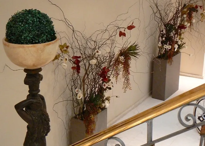 天鹅绒时尚基础酒店 3*