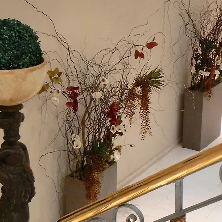 Chic & Basic Velvet 3*