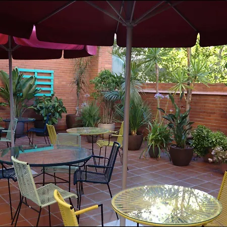 Chic & Basic Velvet 3*